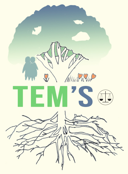 TEM'S Consulting